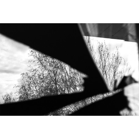 MediathequeNavarre-Rose27