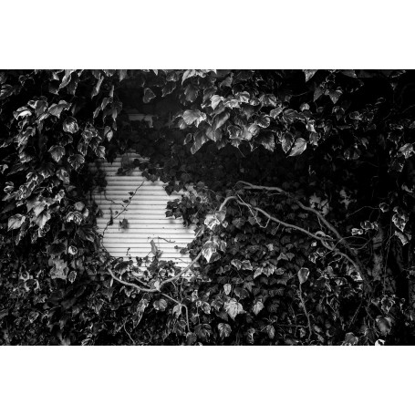 MediathequeNavarre-Mick7534