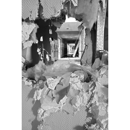 MediathequeNétreville-Rose26