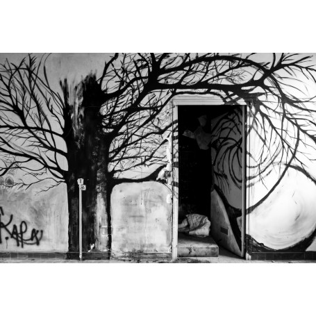 SaintSé-François14